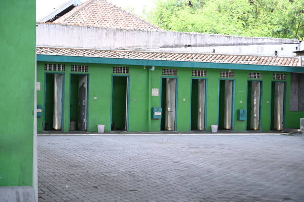 Reliable Manila, AR porta potty rental Solutions